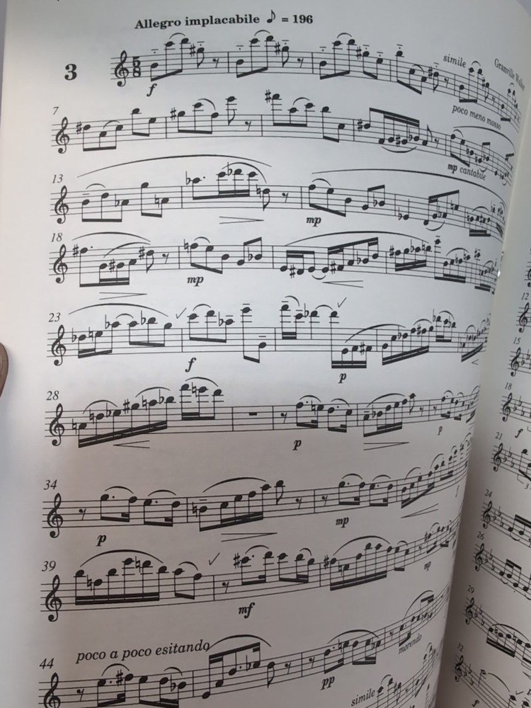 7 Modern Flute Studies - Granville Walker