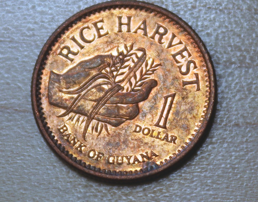 1996 Guyana 1 Dollar
