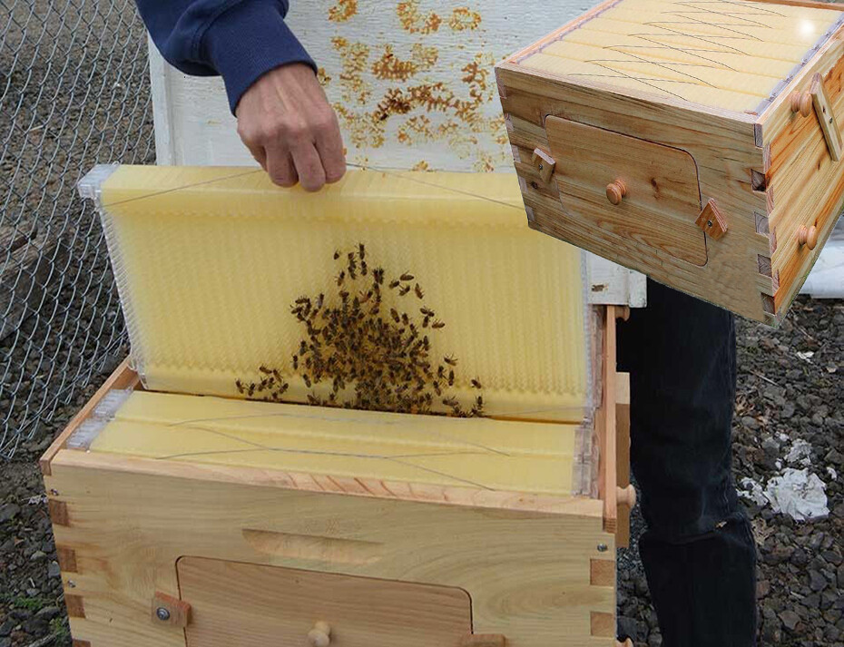 Auto Shed Beehives Super Box + 7 Plastic BPA free Beekeeping Frames Bee Frames