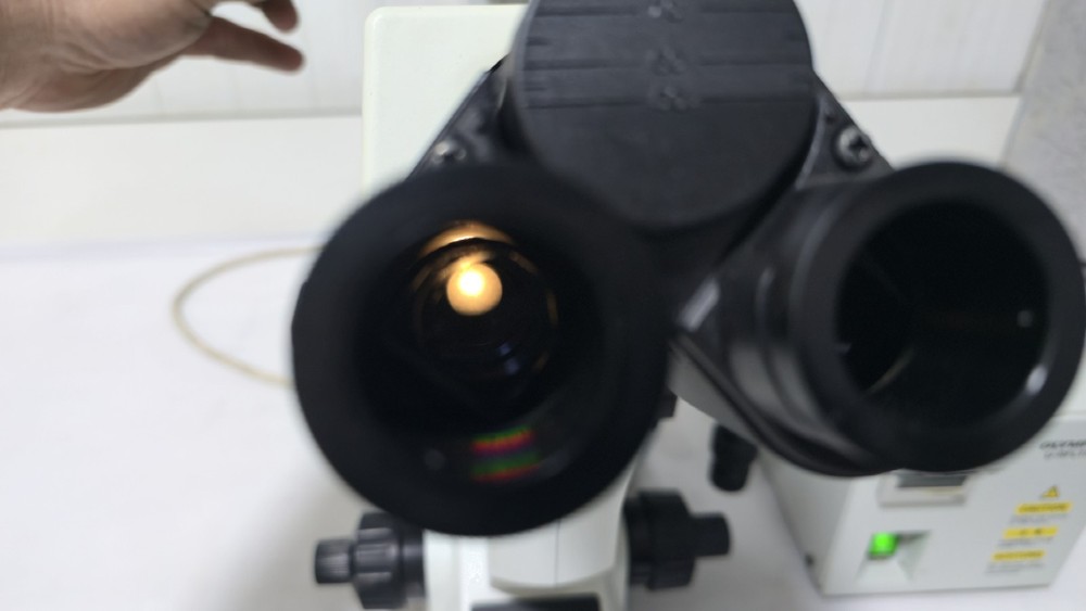 Olympus CKX41 Inverted Fluorescence Phase Contrast Microscope with 3 Objectives