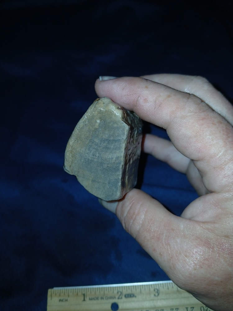 4 oz Texas Petrified Wood