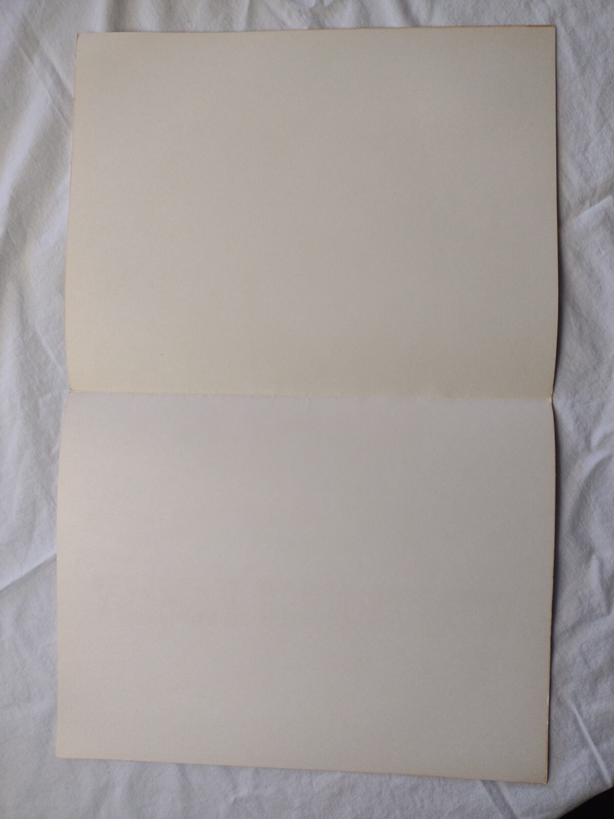 New Old Stock '75 Adventures Of The Wilderness Family 14x22 Theater Movie Poster