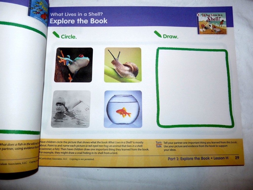 Ready Common Core K/Kindergarten Reading Instruction Book