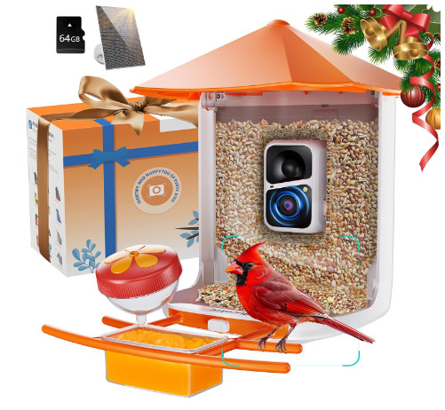 Smart Bird Feeder With Camera - AI Bird Identification - Solar Powered