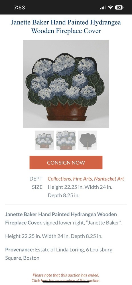Hand painted Hydrangea Flower Pot Fireplace Screen Janette Baker Dummy Board