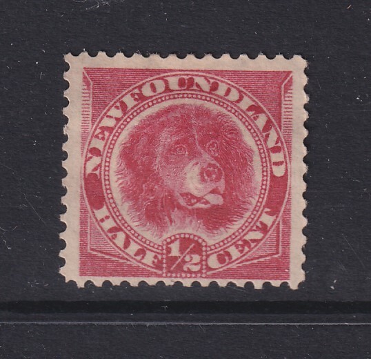 Newfoundland, Scott 57 (SG 62), MHR