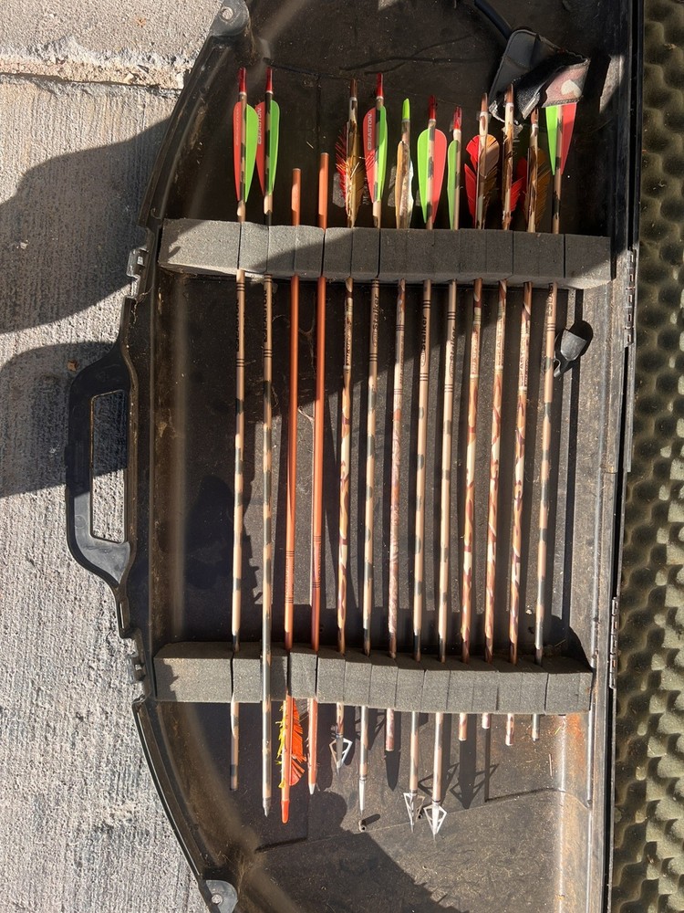 hoyt charger compound bow