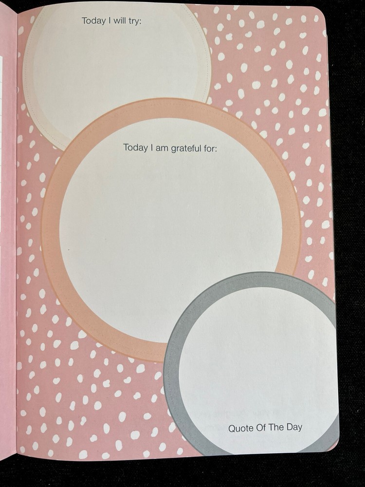 Mom Time Self Care Guided Journal by Punch Studio