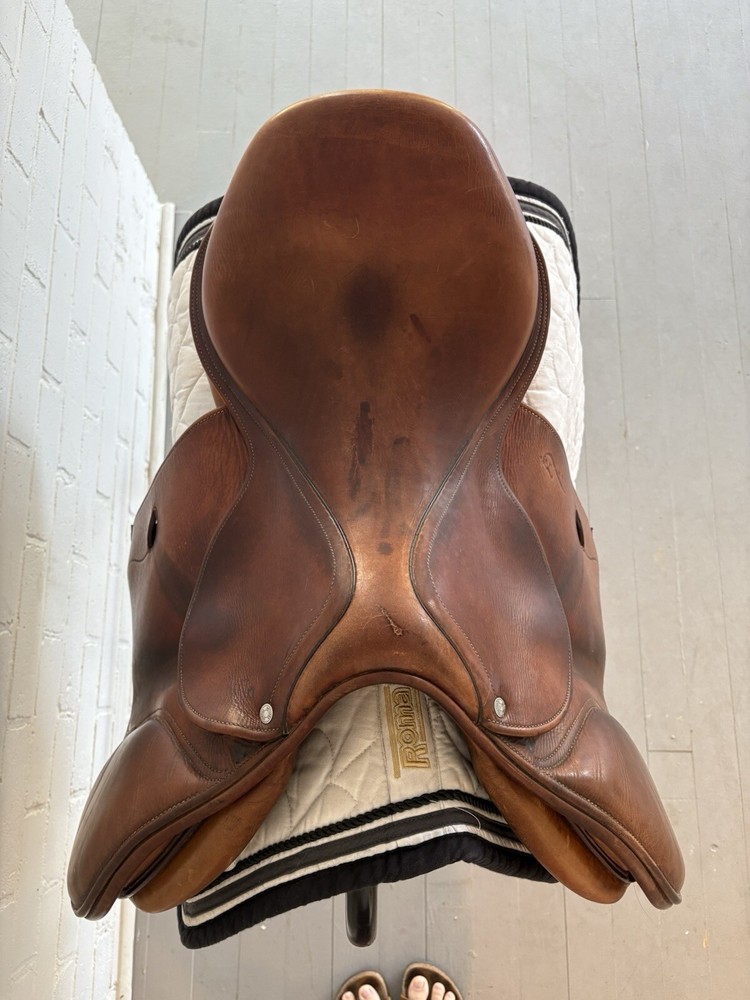Antares jump saddle 17.5
