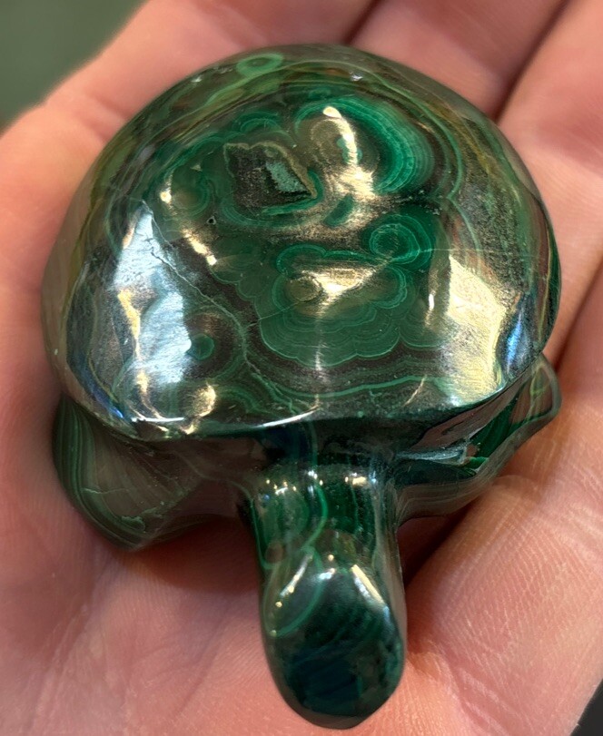 2” Malachite Turtle