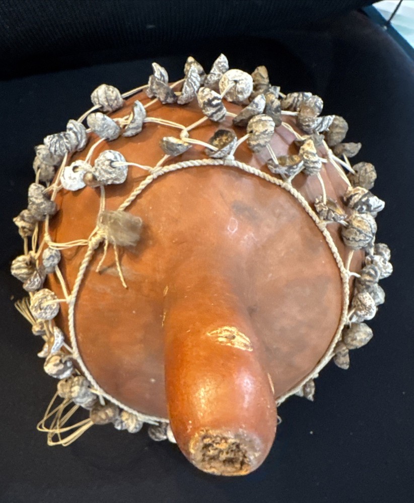 Shell Seeds Maraca Shaker Authentic