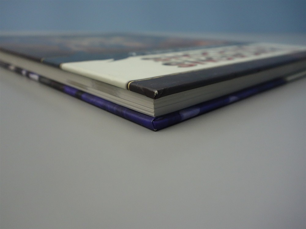 Dungeons & Dragons, D&D: Adventurer's Vault 2