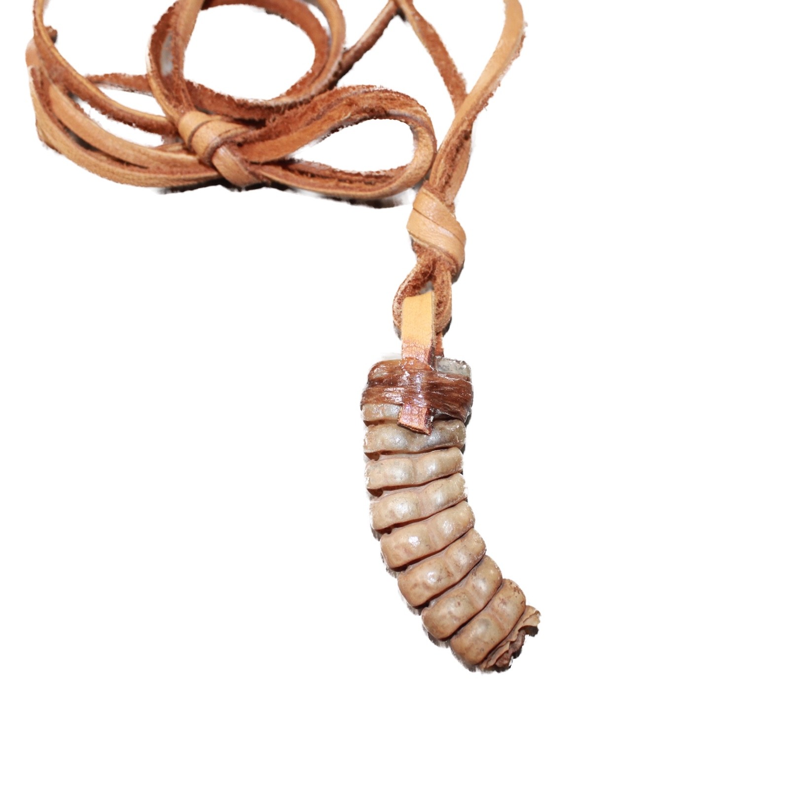 Very Large Rattlesnake Rattle Necklace #6663 Mountain Man Necklace