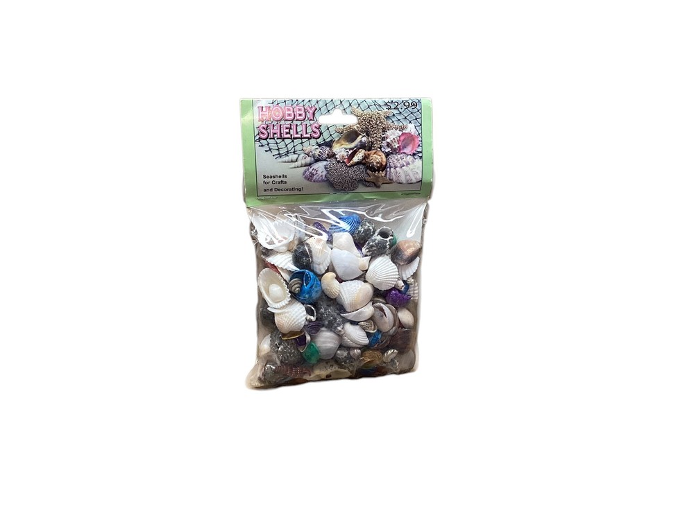 Small Sea Hobby Shells Craft Decor, Dyed, Shells From India