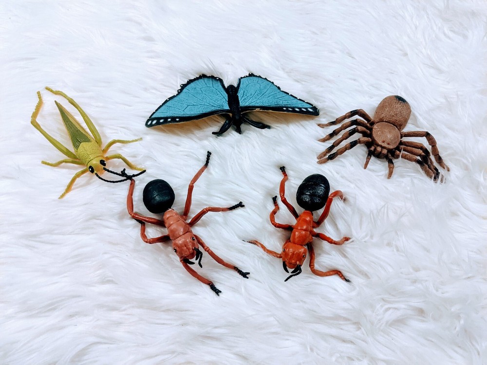 Insect Bug Books With Plastic Bugs