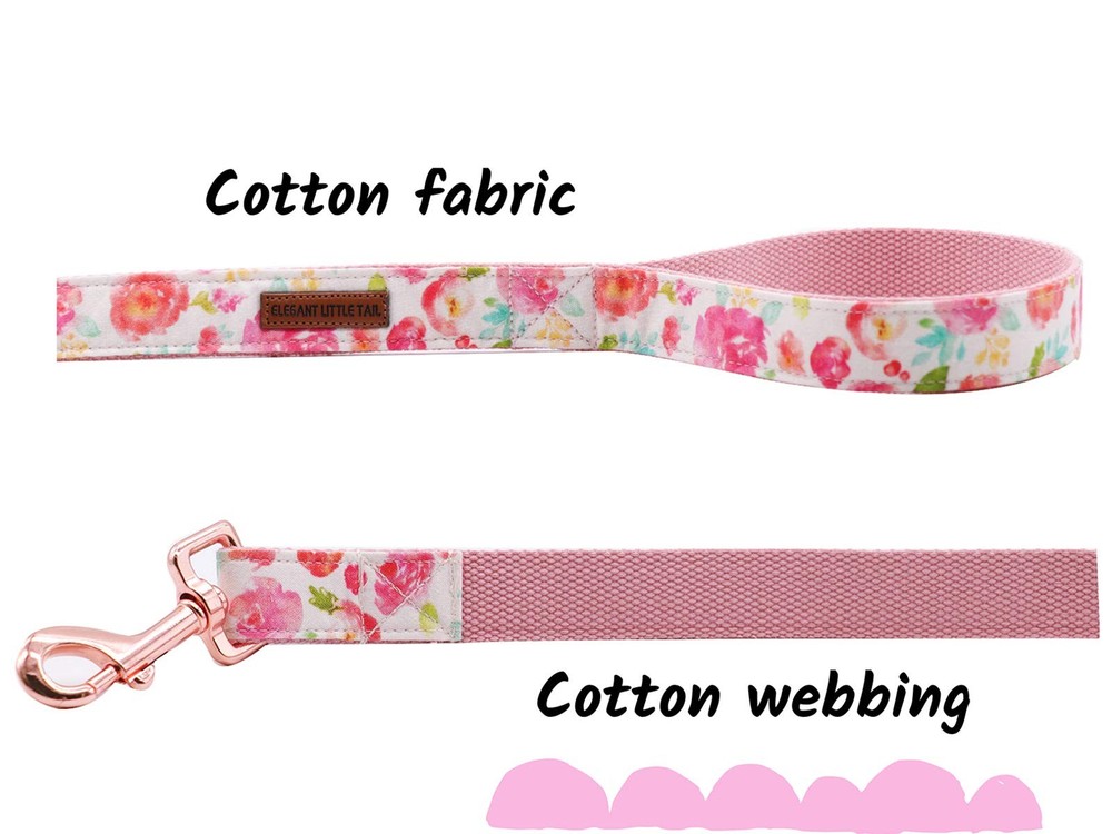 Strong Durable Traditional Style Webbing Dog Leash for Small Medium Large
