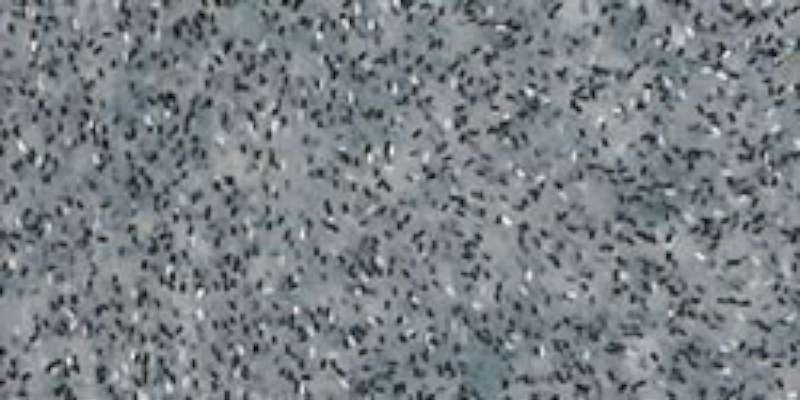 Fimo Effect Polymer Clay 2oz Granite