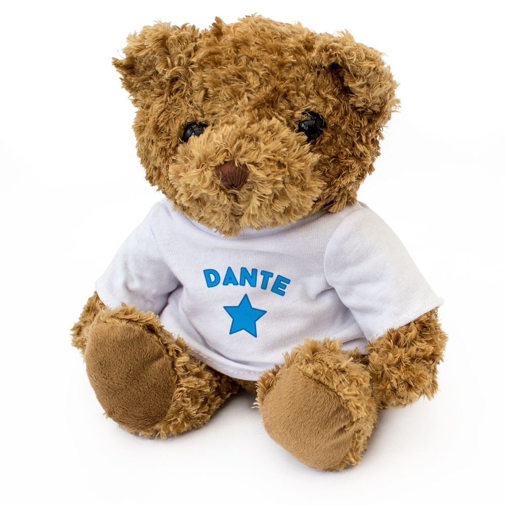 NEW - DANTE - Teddy Bear - Cute Cuddly Soft Adorable - Gift Present