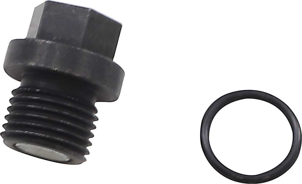 QUAD LOGIC Front Differential Drain Plug and O-Ring #100-2386