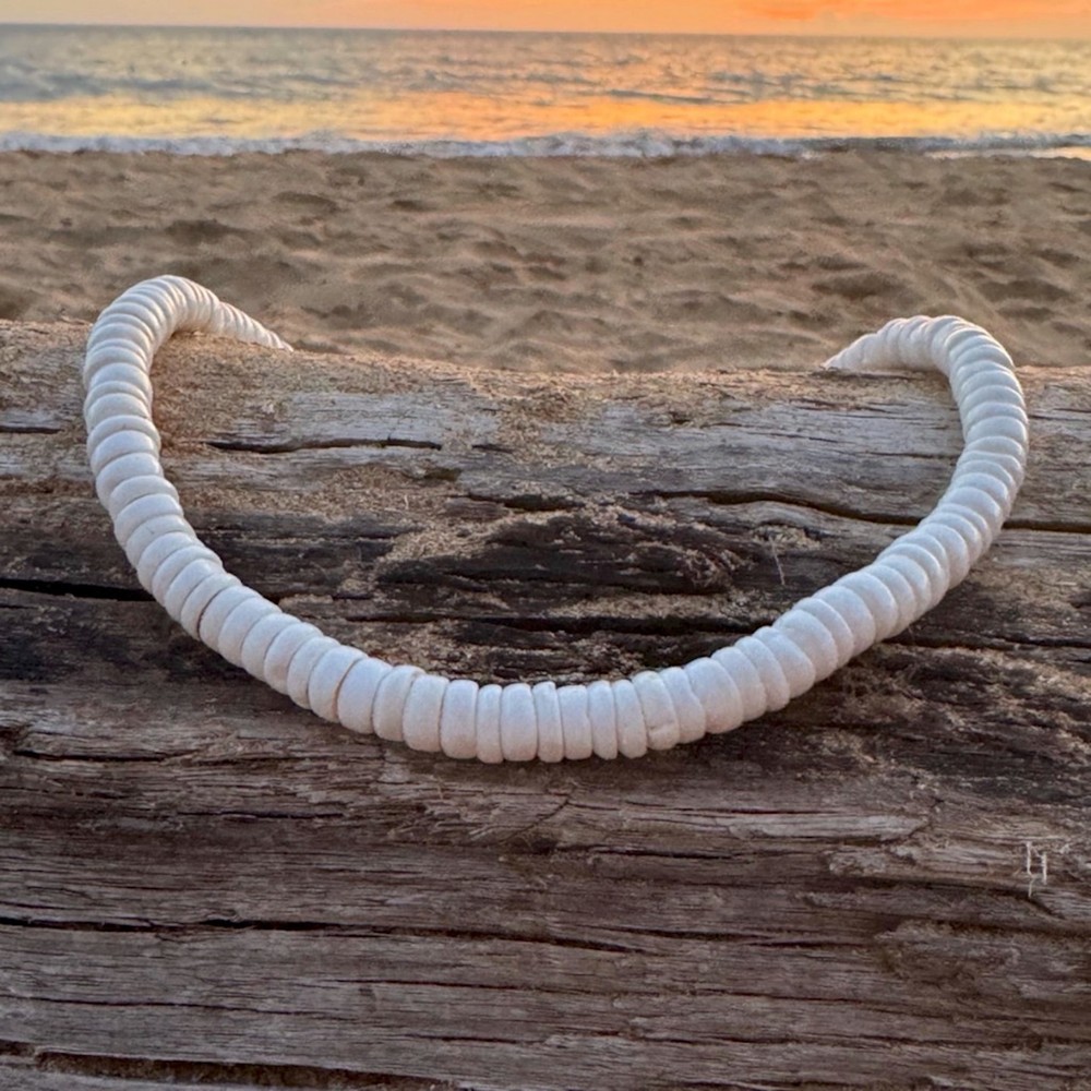 Hawaiian Store Premium Puka Shell Necklace