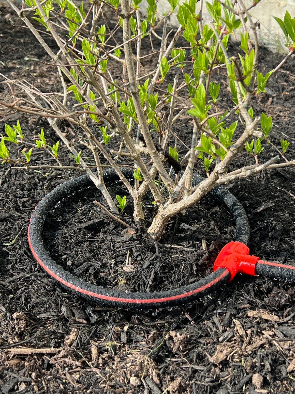 BULK SOAKER HOSE - DRIP IRRIGATION - BEST SOAKER HOSE - 50, 100, 500ft