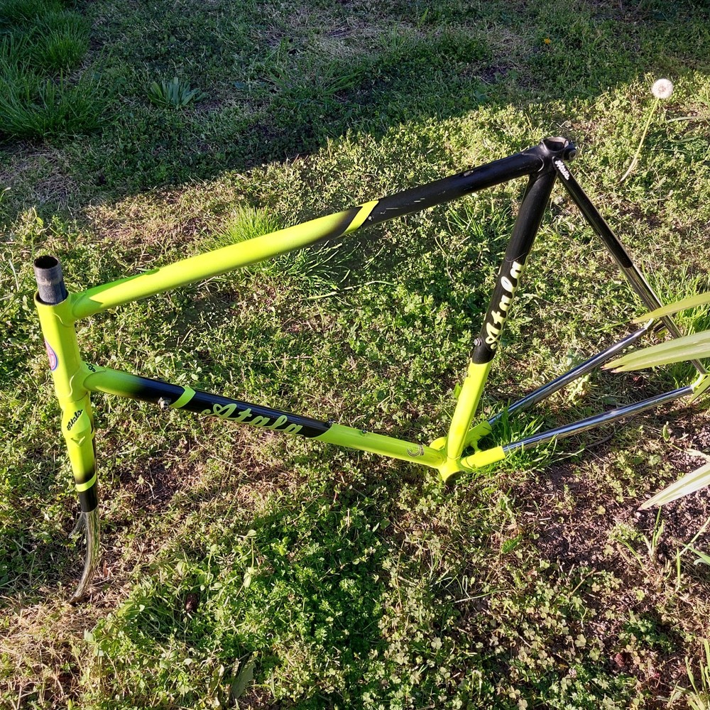 Atala Frame Professional Racing Team Frameset Campagnolo Atala