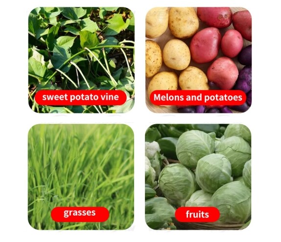 Multifunctional vegetable chopper farm Chilli Grinder Vegetable Cutter Machine