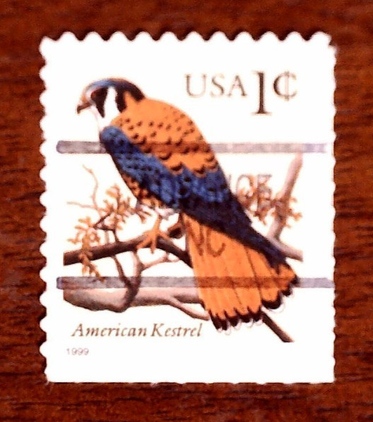 JM: US PRECANCEL, TOWN / TYPE / LOCAL, NORTH CAROLINA, PICK & CHOOSE