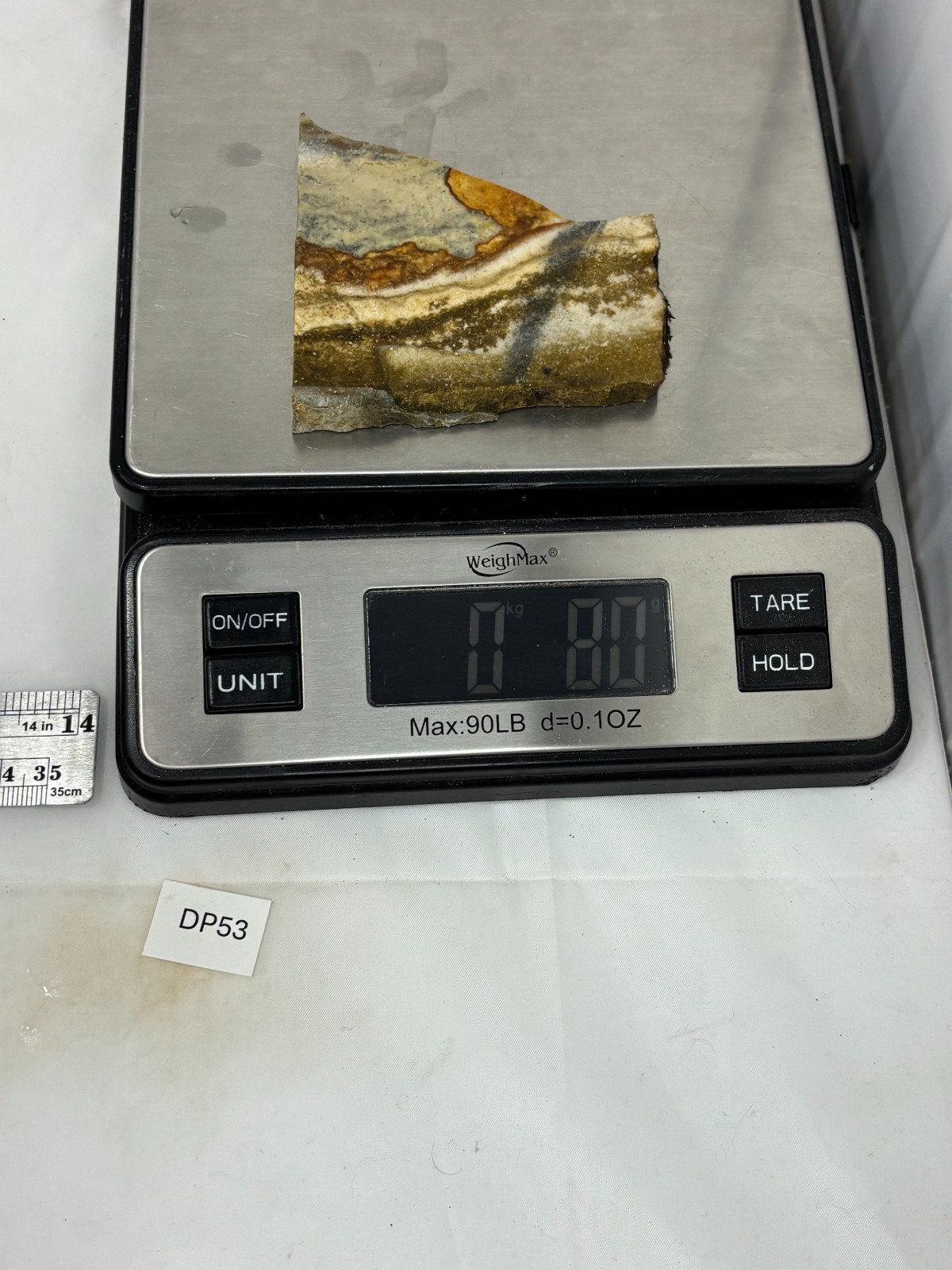 Disaster Peak Picture Jasper Slab Cabbing Lapidary Collecting Combo Ship Avail