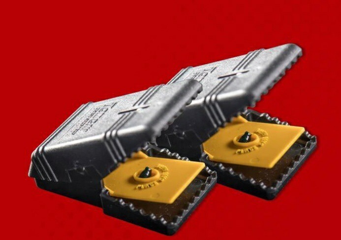 4 Packs (8 Traps)Tomcat Mouse Snap Trap Small For Mice NO TOUCH