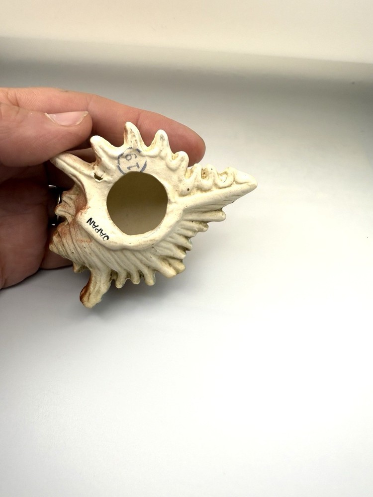 Pottery Ceramic Conch Sea Shell Nautical Tropical Decor