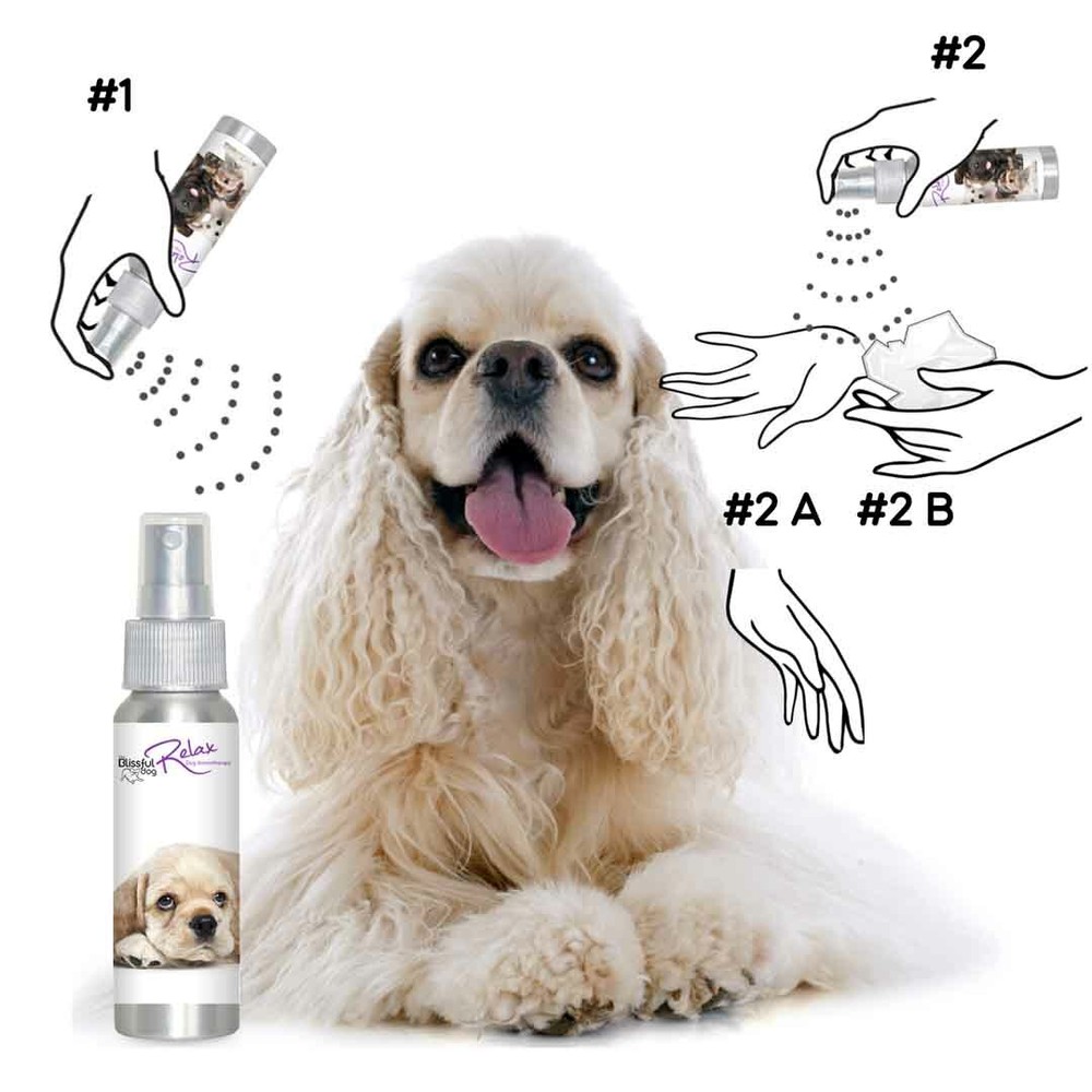 Cocker Spaniel Relax Dog Aromatherapy | Calms Anxious, Stressed, Scared Dogs