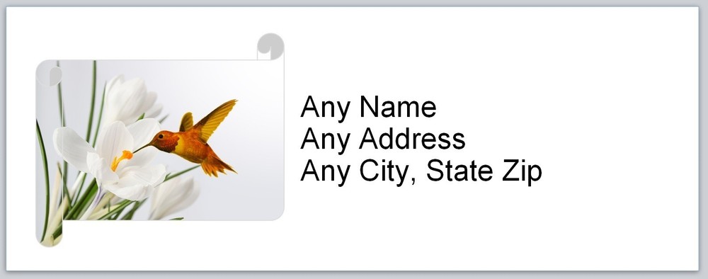 Personalized Address Labels Hummingbird (AC 720)