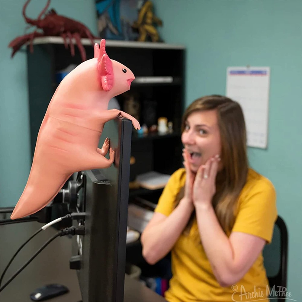 OFFICE AXOLOTL