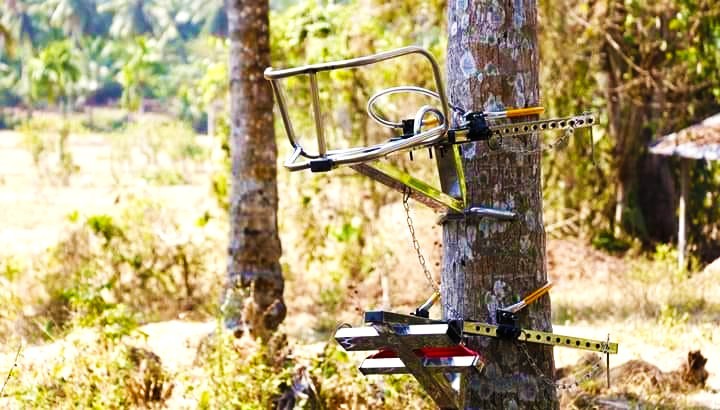 EASY COCONUT TREE Climbing MACHINE TOOL with 100% SAFETY and HIGH QUALITY Quick