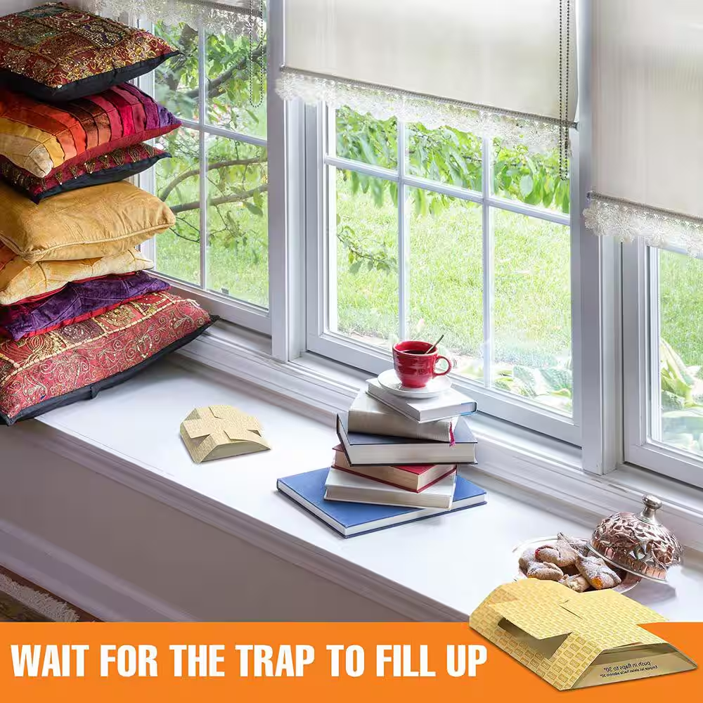 Cricket Traps (2 Pack)