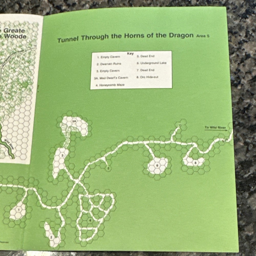 TSR Dungeons & Dragons N2 The Forest Oracle 9084 Adventure Module 1982