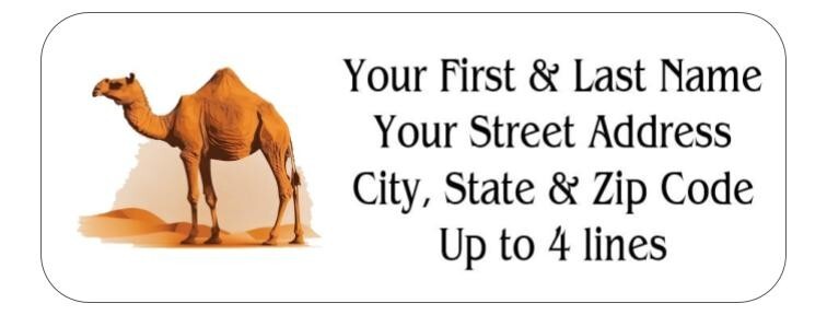 150 Camel in Desert Mailing Return Address Labels Personalized