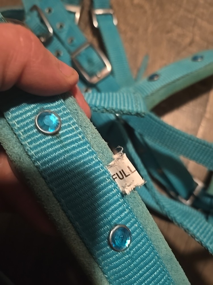 Westeen Bridle And Breastplate