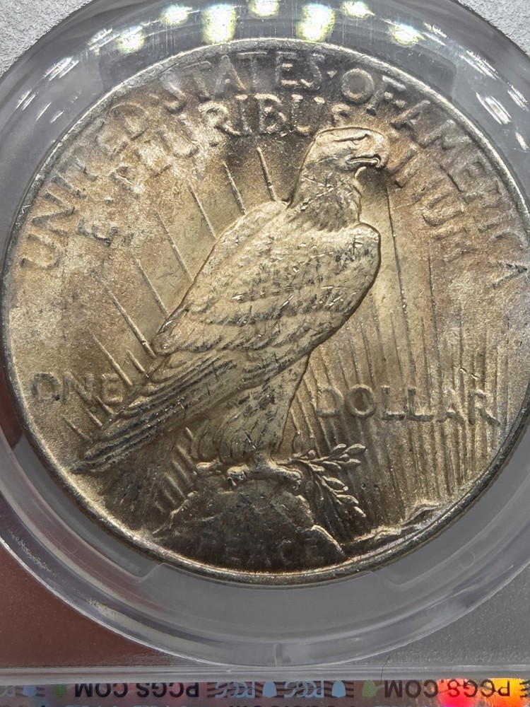 1925 $1 Peace Dollar PCGS MS63 Toned