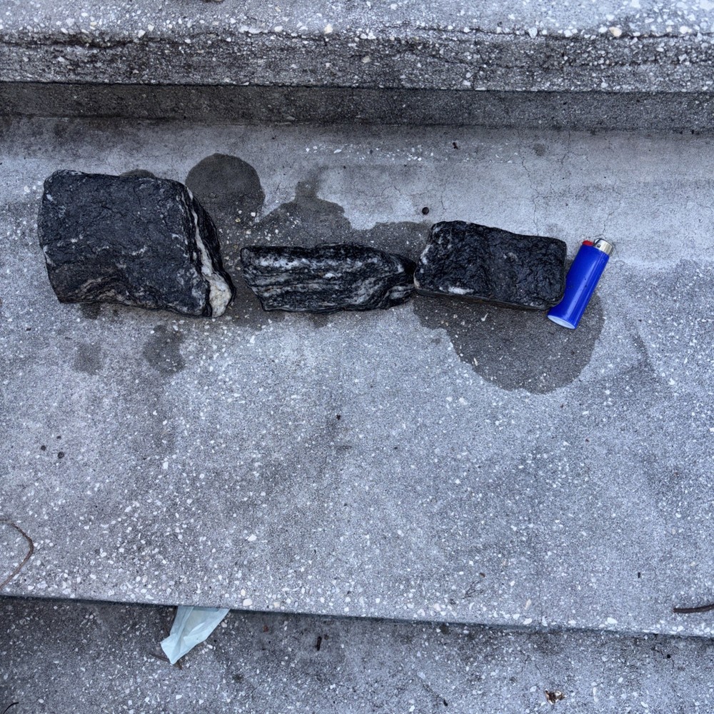 Gneiss Excellent Examples