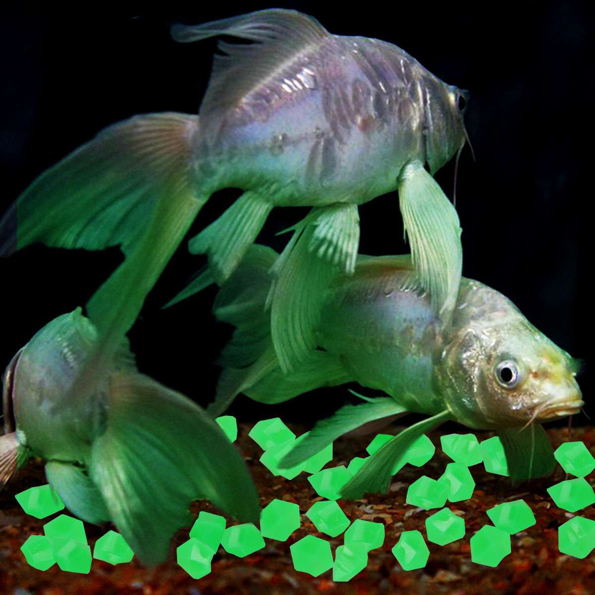 300-900x Glow in The Dark Pebbles Garden Glowing Rocks Fish Tank Luminous Stones