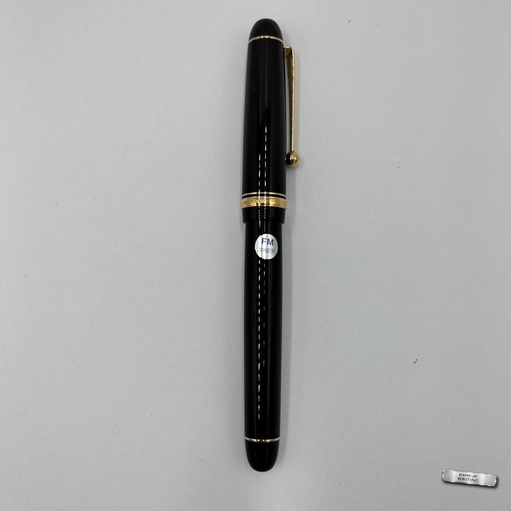 Pilot Custom 74 Fountain Pen