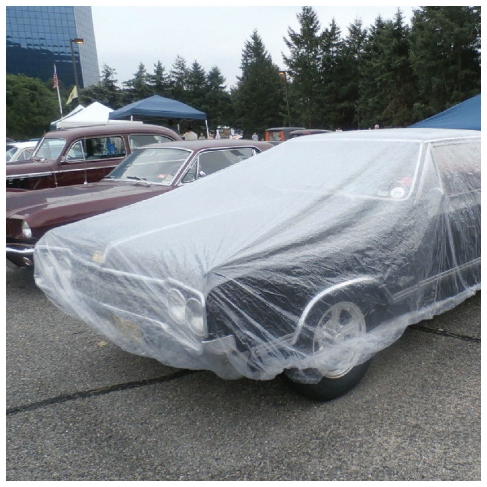 5 PACK Clear Plastic Disposable Car Cover Temporary Universal Rain Dust Garage