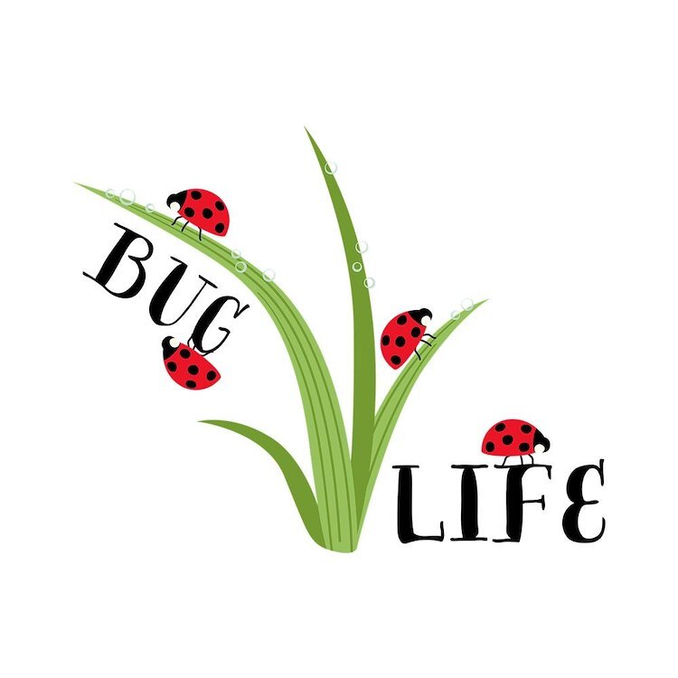 CafePress Bug Life 10" Wall Clock (1720908674)