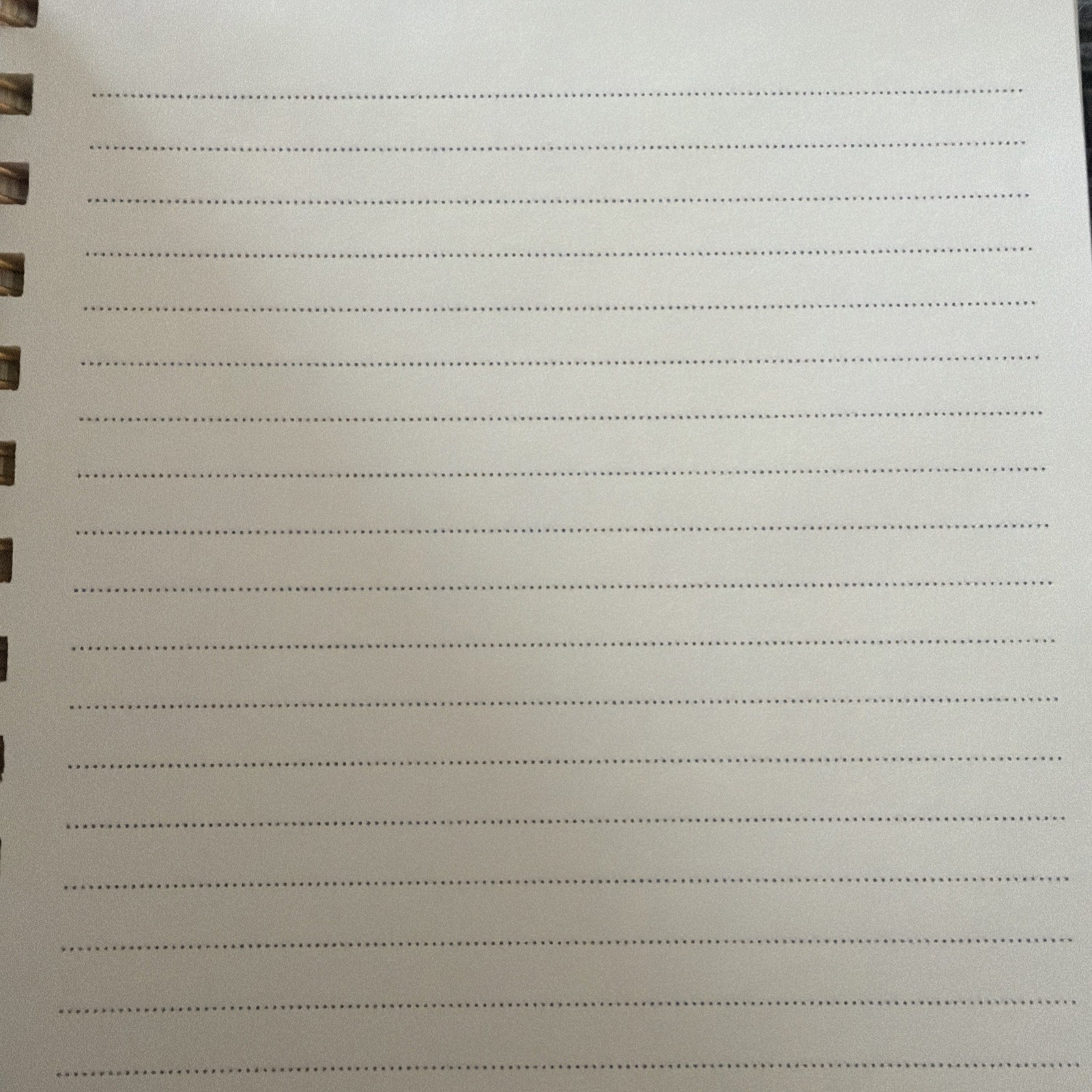 CLEMENTINE Journal Notebook 300 Lined Pages Hardcover Spiral pink Floral 8x6