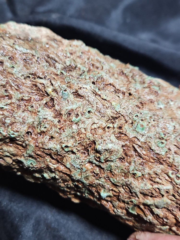 Zimbabwe Petrified Log Specimen (3 Lbs 4 Oz )