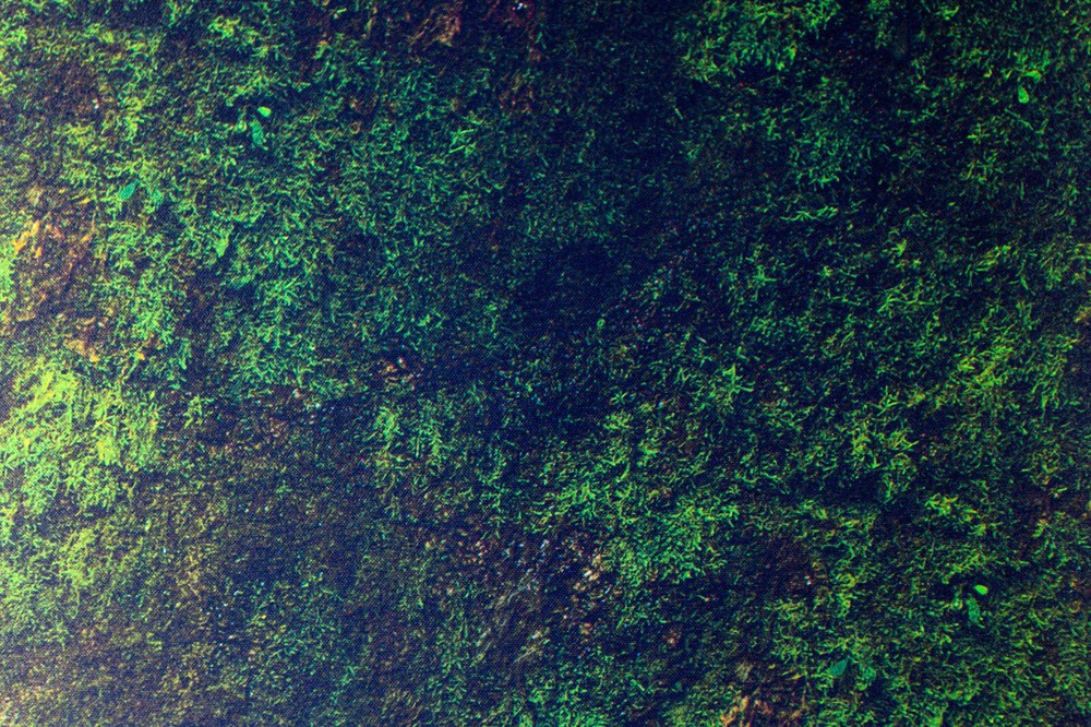 Undergrowth 30"x22" compatible with Kill Team - Rubber Playmat