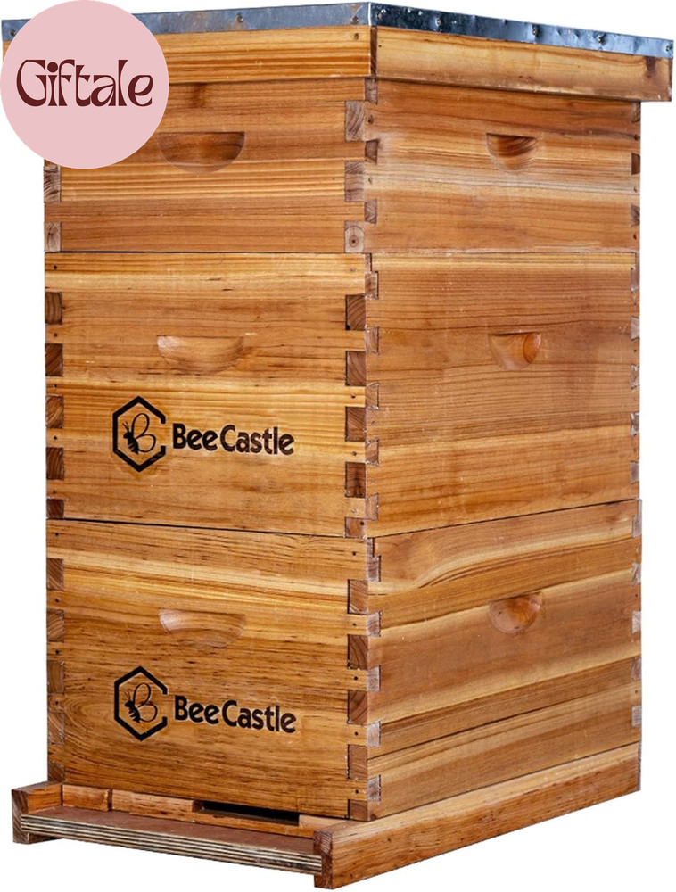 8 Frame Langstroth Bee Hive Coated with Beeswax Includes Beehive Frames and Waxe