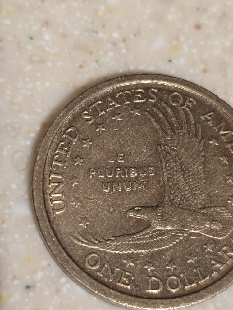 2000 P Sacagawea Double Die Error